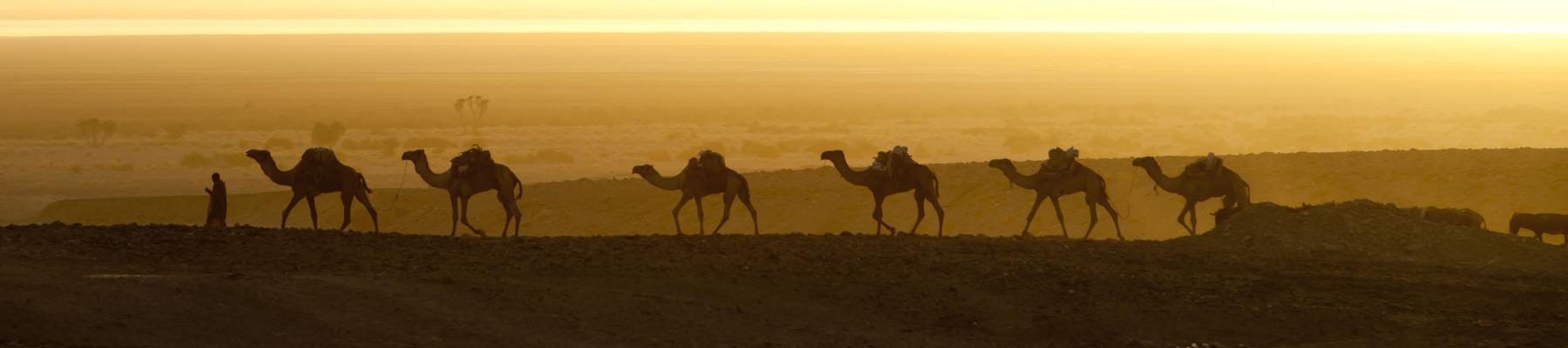 eritrea smart traveller