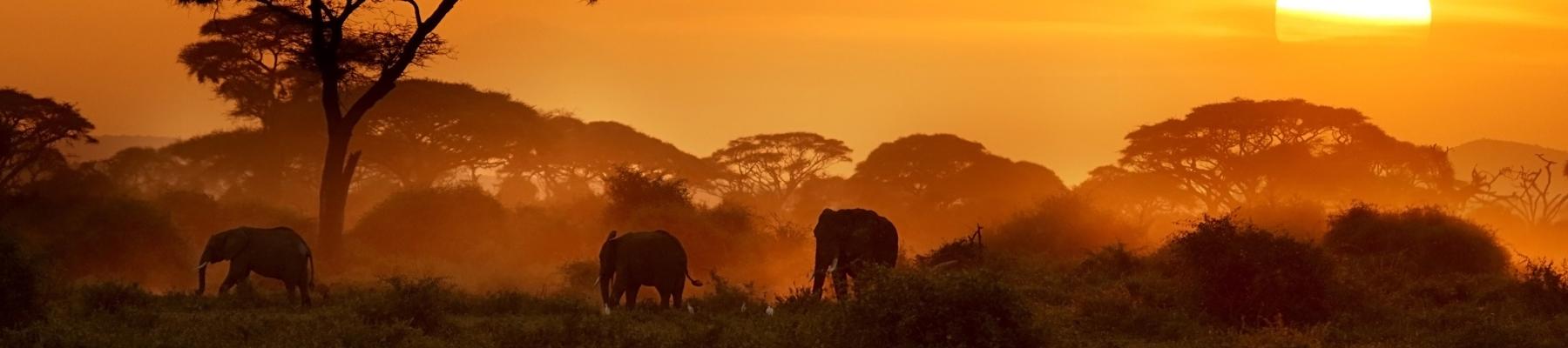 us travel kenya