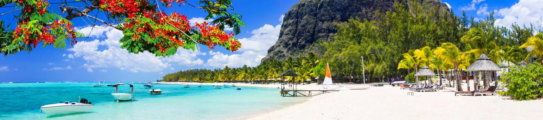 foreign travel advice mauritius