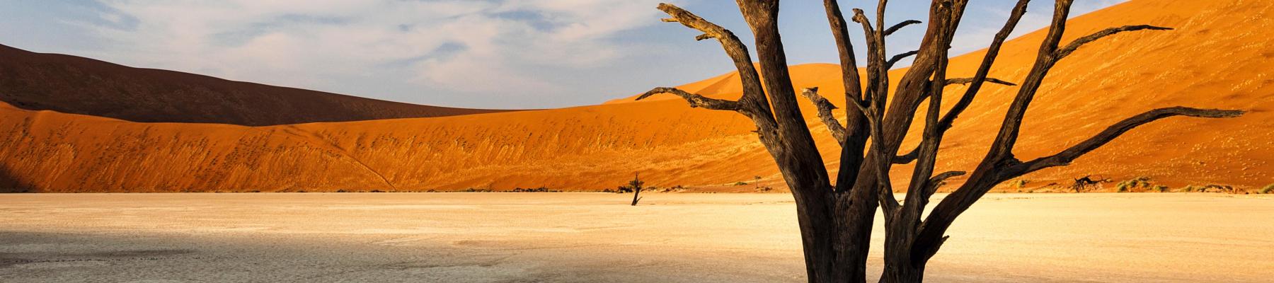 travel department namibia