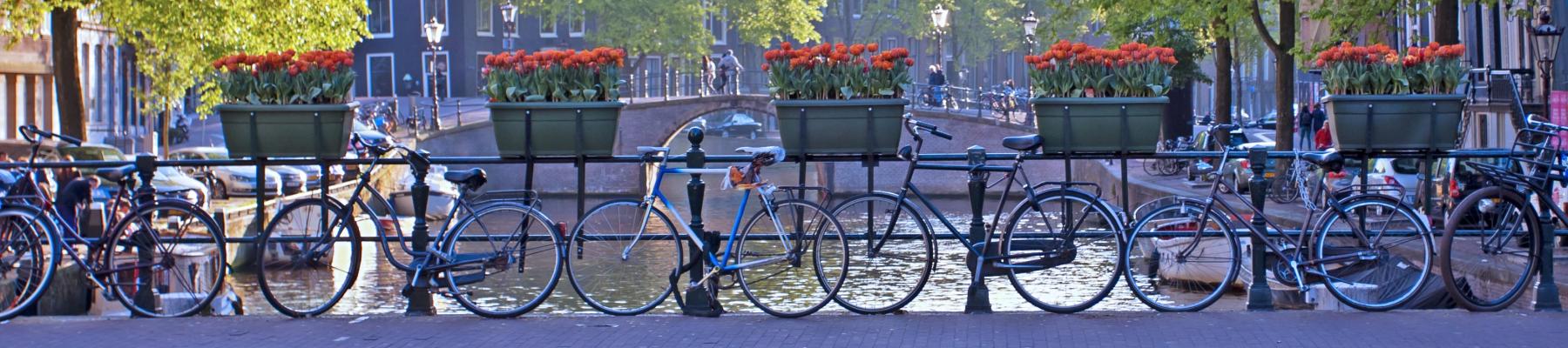 netherlands government travel advice