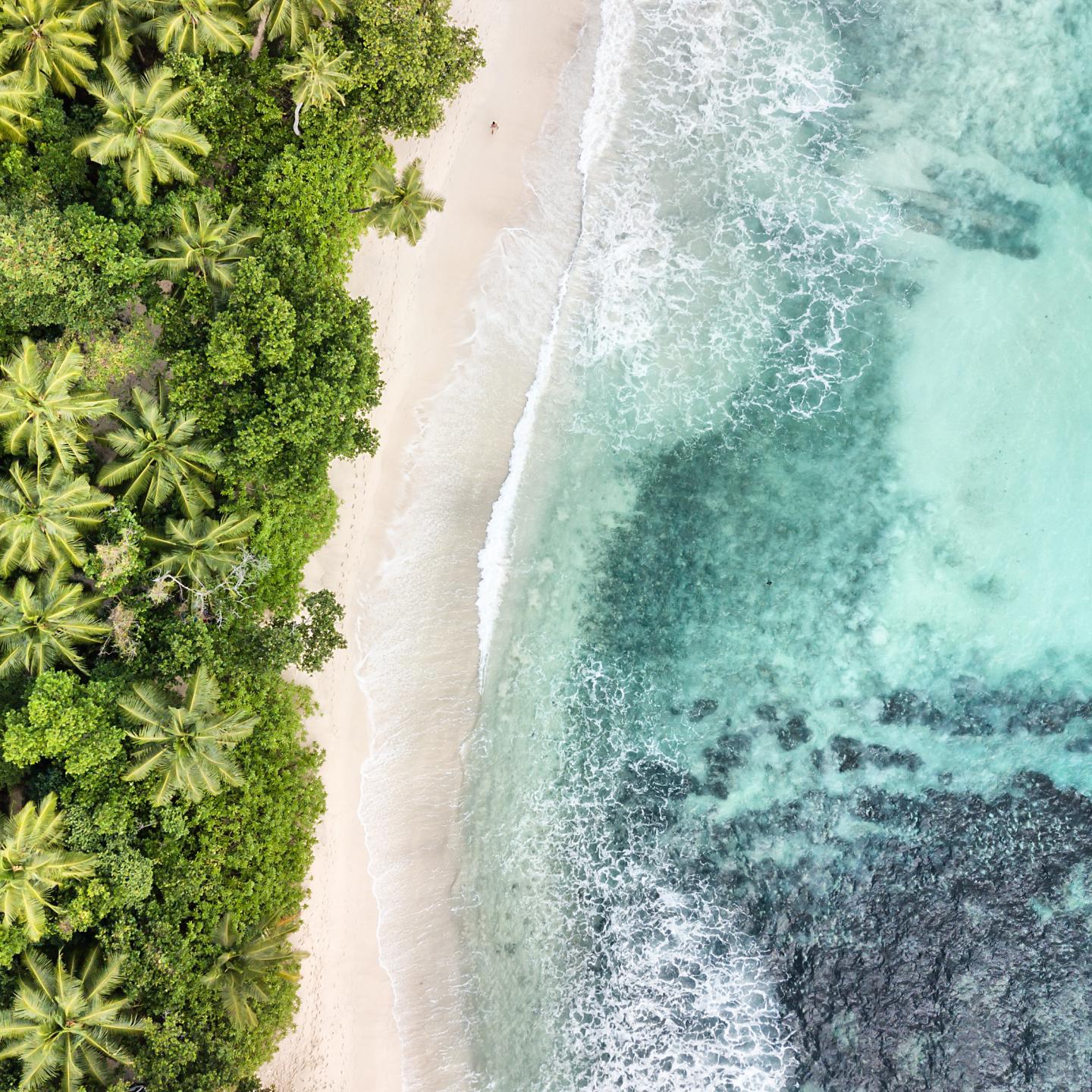 Beach aerial view